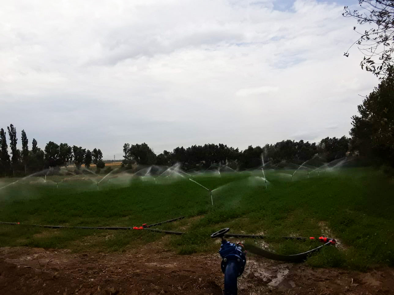 Köydeki kaynak suları tarım arazilerinde kullanılacak